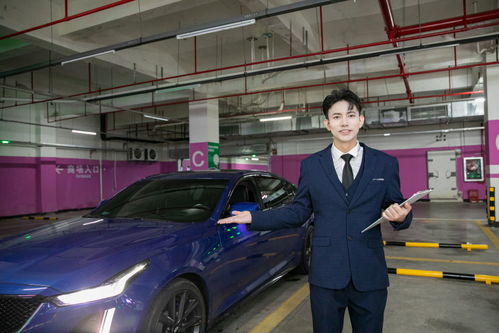 專業汽車銷售顧問 商務車與豪車銷售的藝術與攝影